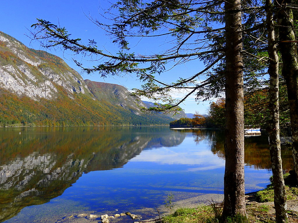 Bohinj Lake